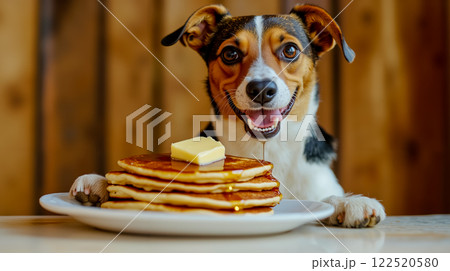 A dog sitting at a table with a plate of pancakes and butter 122520580