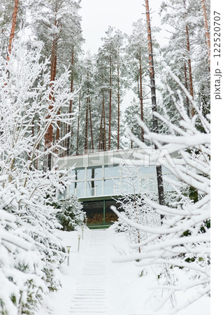 beautiful country house in a snowy pine forest, night lighting, winter fairy tale 122520707