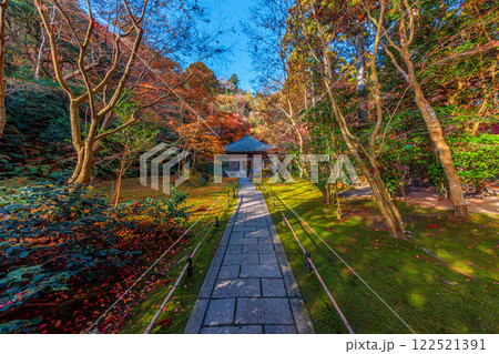 晩秋の円通院・三慧殿(宮城県宮城郡松島町) 122521391