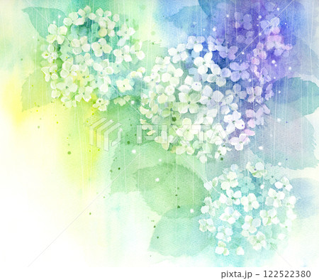 雨の紫陽花の水彩画 雨の紫陽花の水彩画 122522380