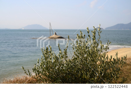 小豆島戸形崎の浜辺とオリーブ 122522448