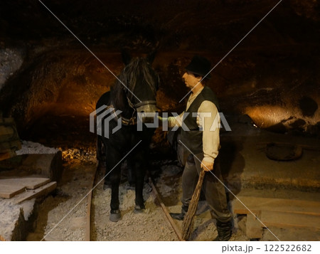 ヴィエリチカ岩塩坑のシエレツの間（ポーランド） 122522682