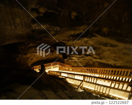 ヴィエリチカ岩塩坑のピスコヴァ・スカワの間（ポーランド） 122522687