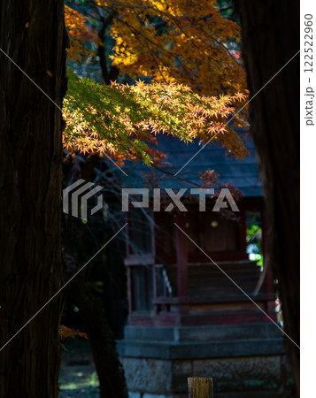 日本の秋の景色　境内の鮮やかに色づいた紅葉 122522960