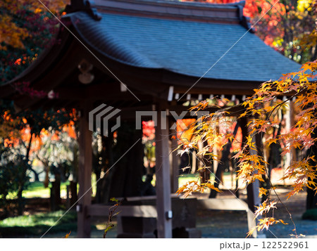 日本の秋の景色　境内の鮮やかに色づいた紅葉 122522961