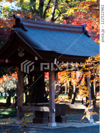 日本の秋の景色　境内の鮮やかに色づいた紅葉 122522962