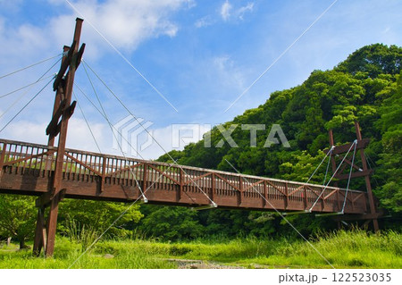 【大和市】泉の森・緑のかけ橋 【大和市】泉の森・緑のかけ橋 122523035