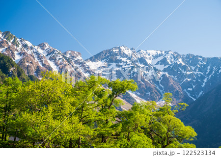 上高地 河童橋周辺 穂高連峰 《新緑風景》 上高地 河童橋周辺 穂高連峰 《新緑風景》 122523134