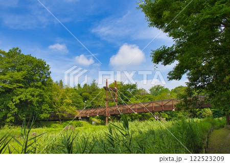 【大和市】泉の森・緑のかけ橋 122523209