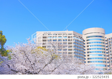愛知県名古屋市、鶴舞公園の桜と名大病院の風景 愛知県名古屋市、鶴舞公園の桜と名大病院の風景 122523435