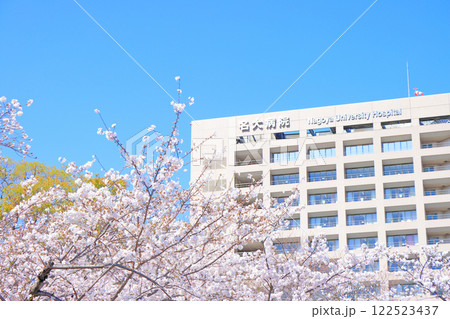 愛知県名古屋市、鶴舞公園の桜と名大病院の風景 愛知県名古屋市、鶴舞公園の桜と名大病院の風景 122523437