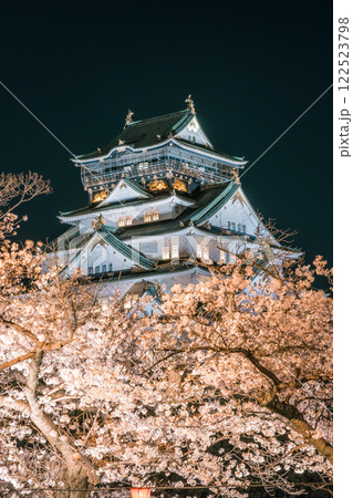 ライトアップされた桜と大阪城 ライトアップされた桜と大阪城 122523798