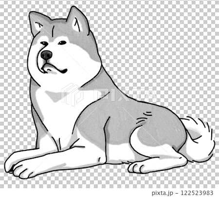 秋田犬，黑白，透明背景，狗狗插圖 122523983