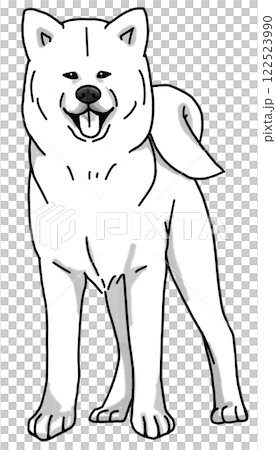 Akita dog, black and white, transparent background, dog illustration 122523990