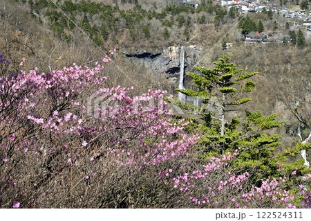 奥日光明智平展望台付近に咲くアカヤシオツツジの花と華厳の滝 122524311