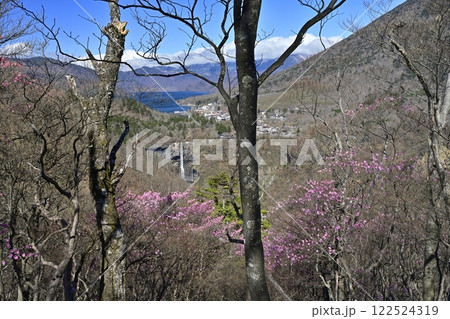 奥日光明智平展望台付近に咲くアカヤシオツツジの花と華厳の滝に中禅寺湖 122524319