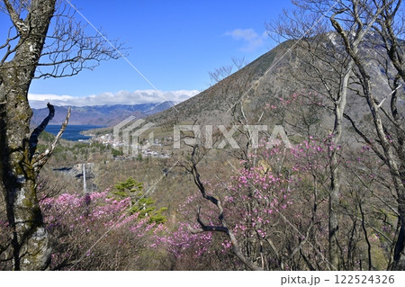 奥日光明智平展望台付近に咲くアカヤシオツツジの花と華厳の滝に中禅寺湖と男体山 奥日光明智平展望台付近に咲くアカヤシオツツジの花と華厳の滝に中禅寺湖と男体山 122524326