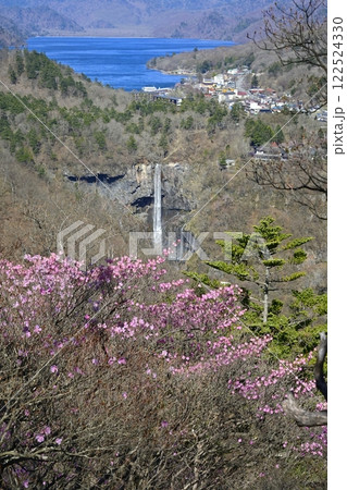 奥日光明智平展望台付近に咲くアカヤシオツツジの花と華厳の滝に中禅寺湖 122524330