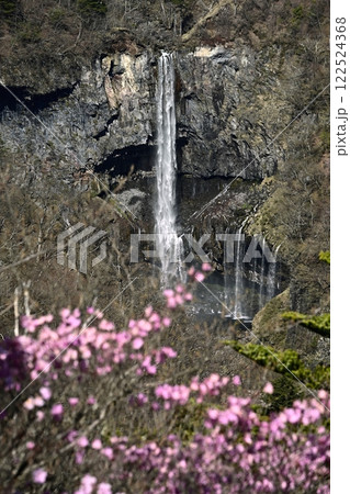 奥日光明智平展望台付近に咲くアカヤシオツツジの花と華厳の滝 奥日光明智平展望台付近に咲くアカヤシオツツジの花と華厳の滝 122524368
