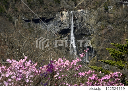 奥日光明智平展望台付近に咲くアカヤシオツツジの花と華厳の滝 122524369