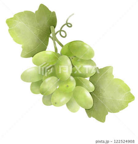 green grape  122524908