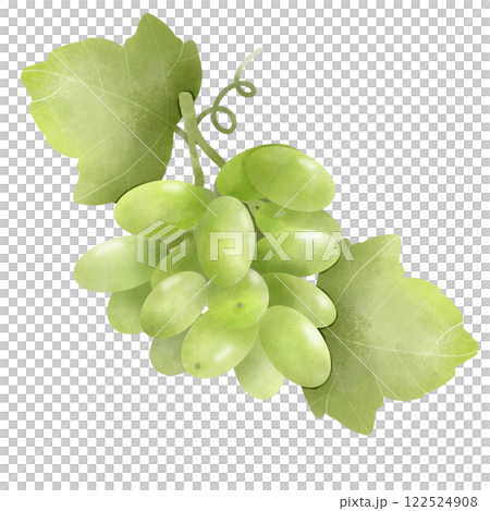 green grape  122524908