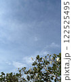 青空とプルメリア 122525495