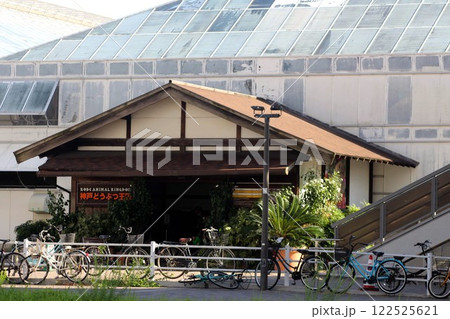 神戸どうぶつ王国 神戸どうぶつ王国 122525621