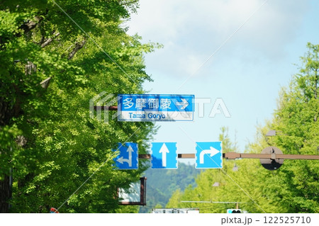 イチョウ並木　甲州街道 122525710