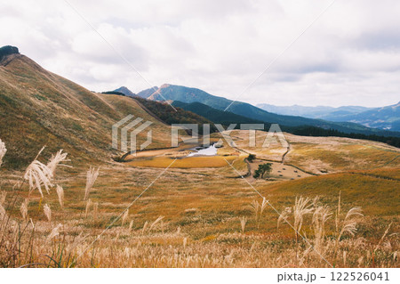 [曽爾高原]太陽の光に照らされ黄金に光るススキ 122526041