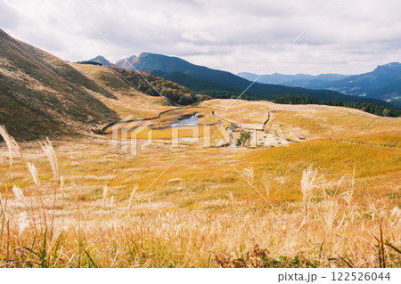 [曽爾高原]太陽の光に照らされ黄金に光るススキ 122526044