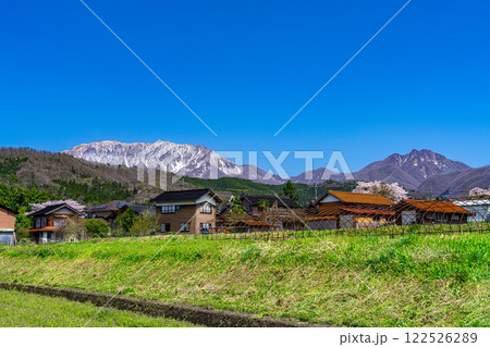 【日本百名山】美用集落と大山と烏ヶ山の春の風景2　鳥取県日野郡江府町 122526289