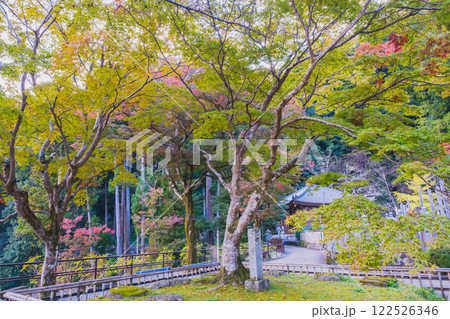 [長谷寺]奈良県内で有名なパワースポット 122526346