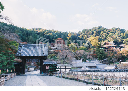 [長谷寺]奈良県内で有名なパワースポット 122526348