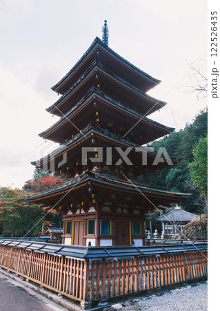 [長谷寺]美しい紅葉と五重塔 122526435