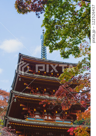 [長谷寺]美しい紅葉と五重塔 122526437