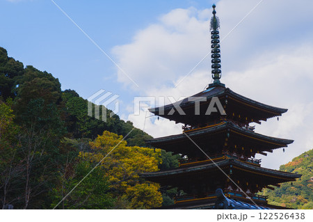 [長谷寺]美しい紅葉と五重塔 122526438