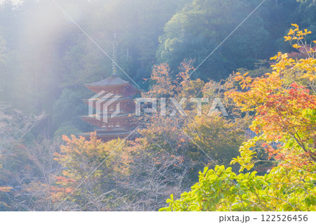 [長谷寺]美しい紅葉が印象的な風景 122526456