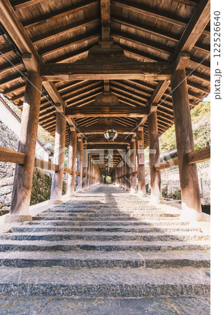 [長谷寺]本堂へと続く長い階段 122526640