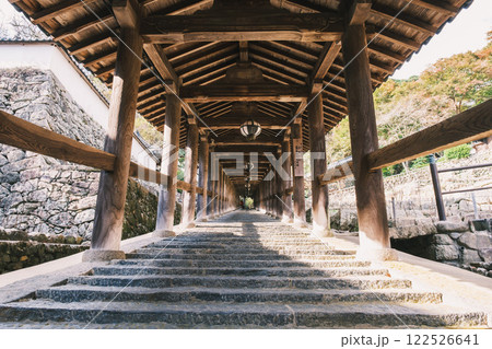 [長谷寺]本堂へと続く長い階段 122526641