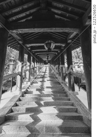 [長谷寺]本堂へと続く長い階段 122526650