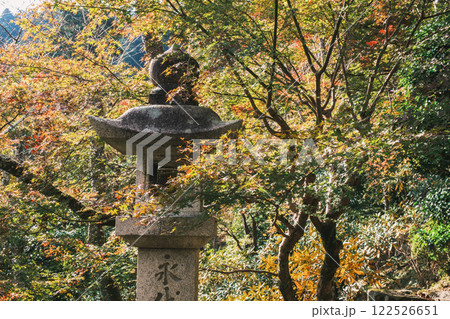[長谷寺]きれいな紅葉 122526651