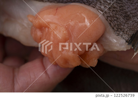 子持ちカレイの煮付けの工程 子持ちカレイの煮付けの工程 122526739