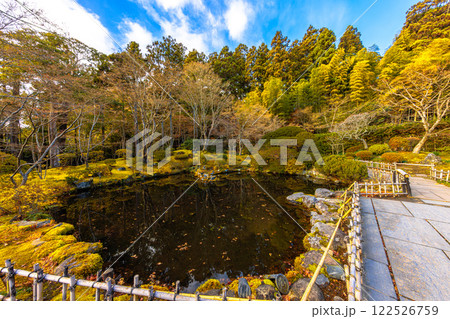晩秋の円通院・遠州の庭(宮城県宮城郡松島町) 晩秋の円通院・遠州の庭(宮城県宮城郡松島町) 122526759