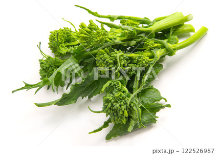 チーマディラーパ、イタリアの菜の花 チーマディラーパ、イタリアの菜の花 122526987