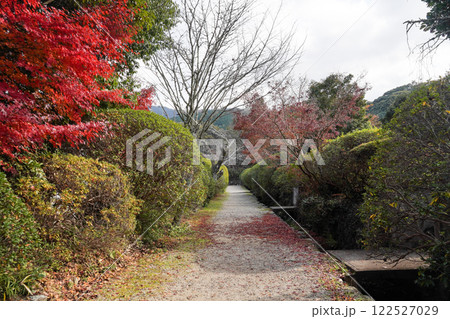 奈良 長岳寺(ちょうがくじ)参道 奈良 長岳寺(ちょうがくじ)参道 122527029