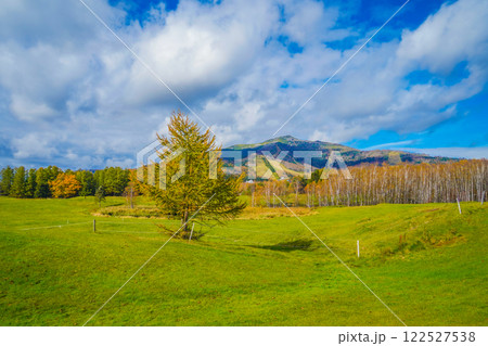 緑豊かな丘と木 122527538