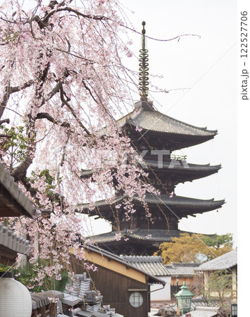 春の京都(八坂の塔と桜) 春の京都(八坂の塔と桜) 122527706