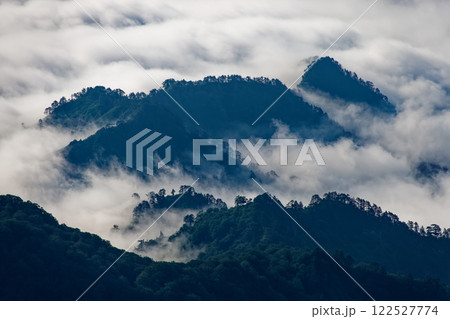 浅草岳から見る田子倉湖の雲海 122527774