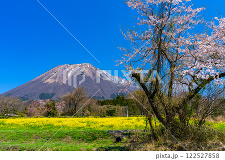 【日本百名山】添谷から見た春の大山11　鳥取県西伯郡伯耆町 122527858